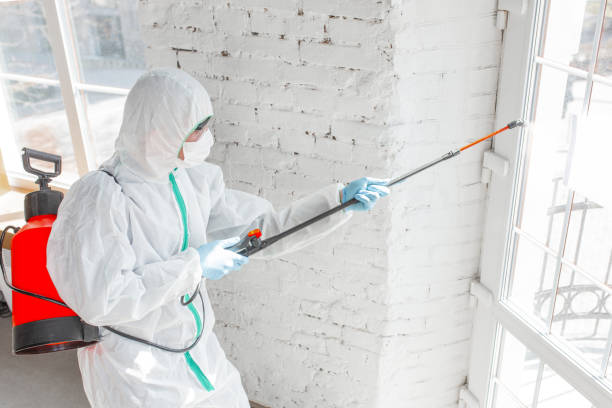 Best Forensic Mold Investigation  in USA